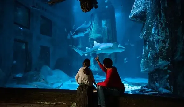 EA LIFE London Aquarium (1)