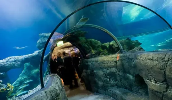 SEA LIFE London Aquarium